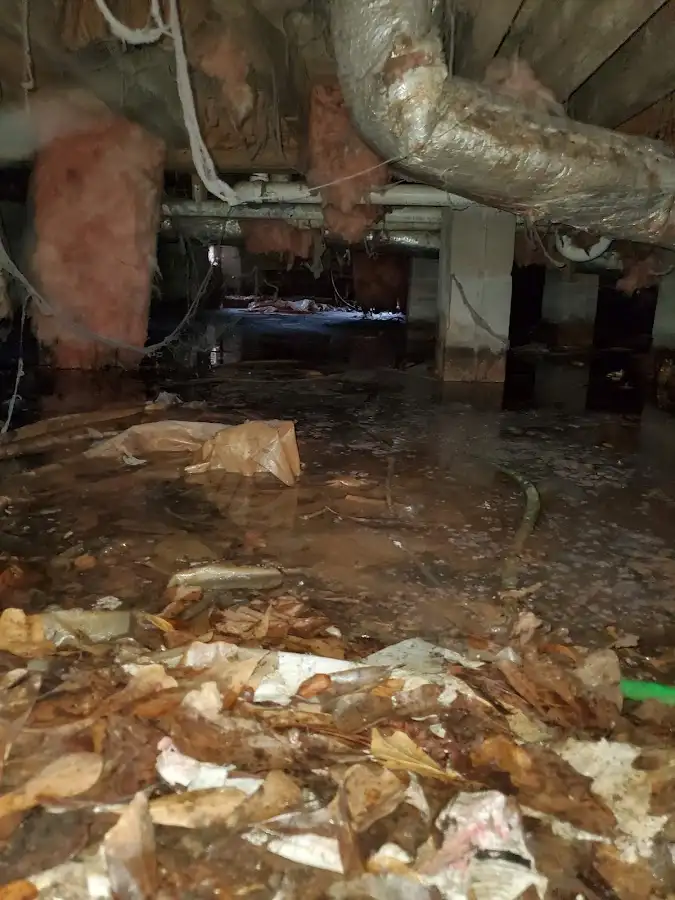 Crawl space flood assessment for Leak Detection & Repair in Homer