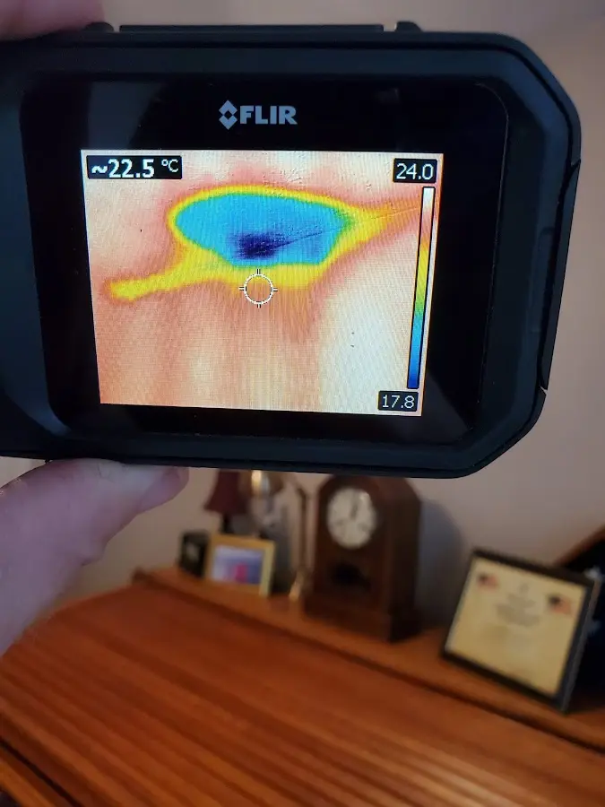 Thermal imaging inspection for water damage in Homer