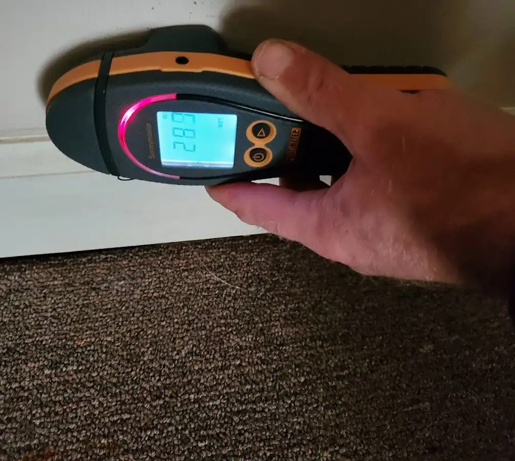 Moisture detection at baseboard during Burst Pipe Cleanup in Homer